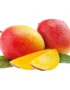 Mango South Africa