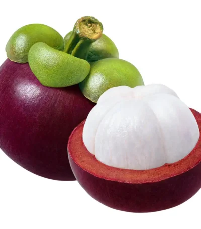 Mango Steen