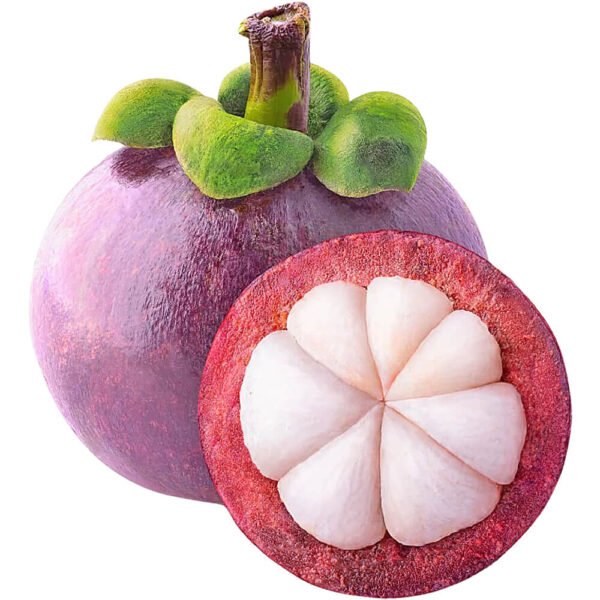 Mangosteen Indonesia