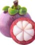Mangosteen Indonesia