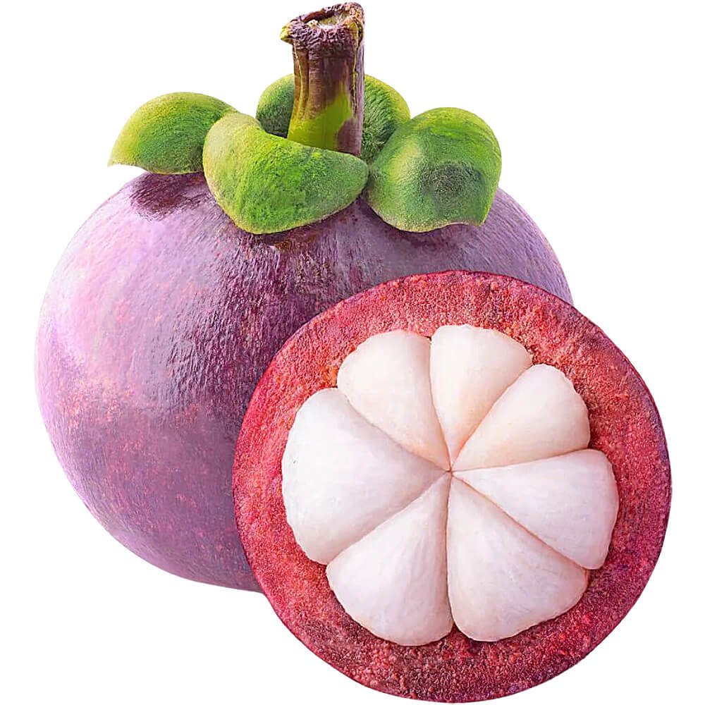 Mangosteen Indonesia