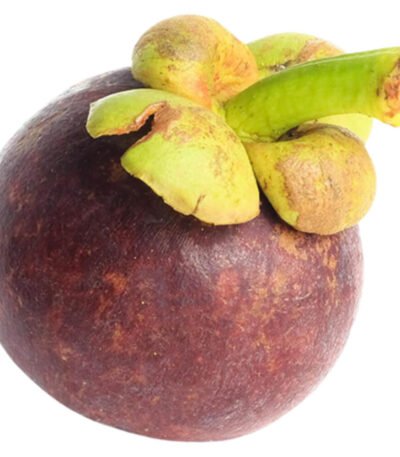 Mangosteen Jumbo