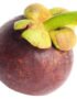 Mangosteen Jumbo