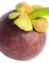 Mangosteen Jumbo