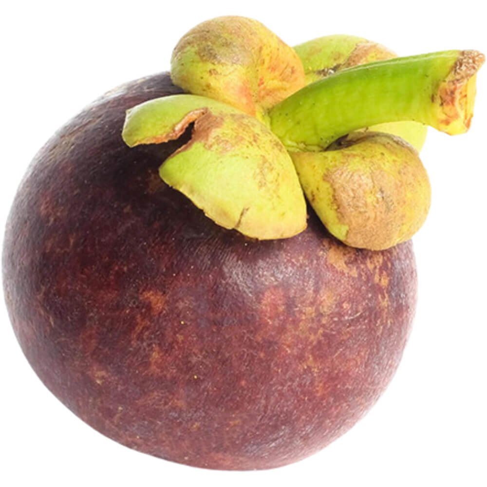 Mangosteen Jumbo
