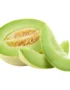 Melon Honeydew