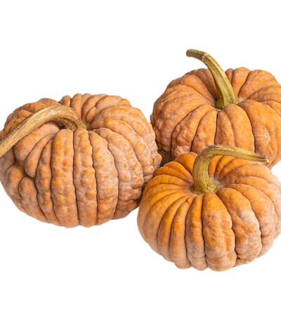 Mini Asian Heirloom Pumpkin