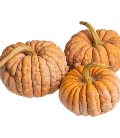 Mini Asian Heirloom Pumpkin