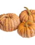 Mini Asian Heirloom Pumpkin