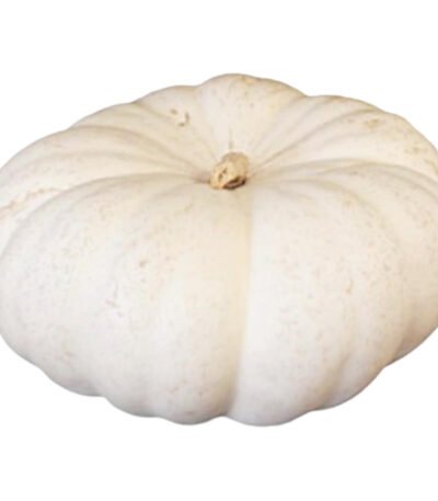 Mini Fairytale Pumpkin