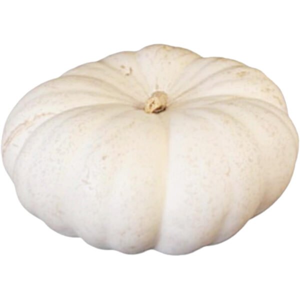 Mini Fairytale Pumpkin