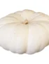 Mini Fairytale Pumpkin