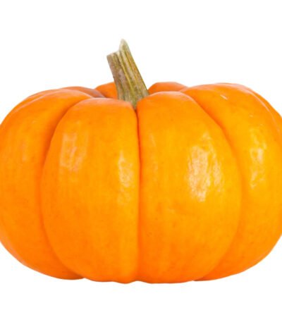 Mini Orange Pumpkin