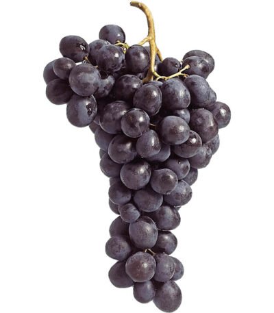 Moscato Grape Black