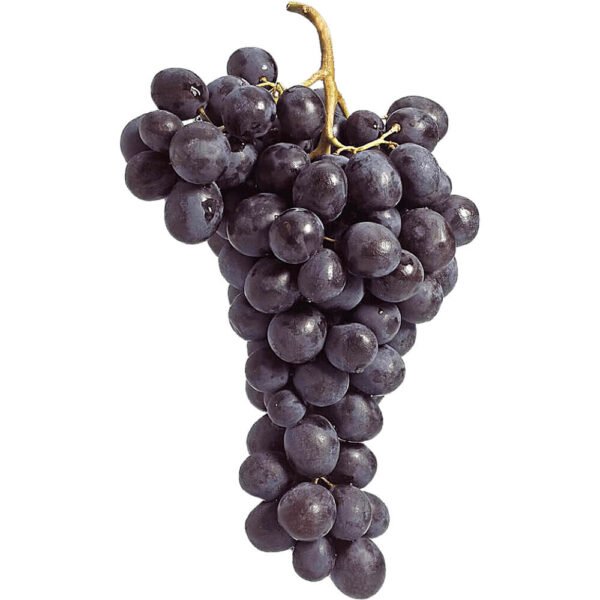 Moscato Grape Black