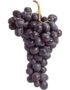 Moscato Grape Black