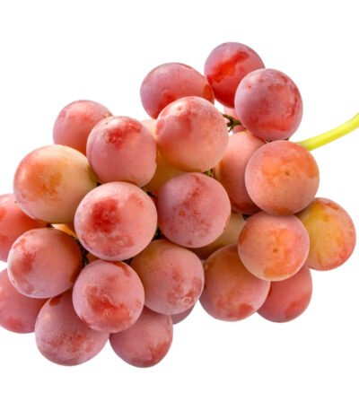 Nina Queen Grapes