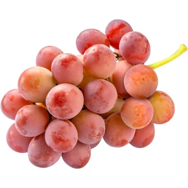 Nina Queen Grapes