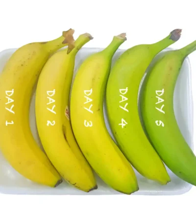 One Banana One Day