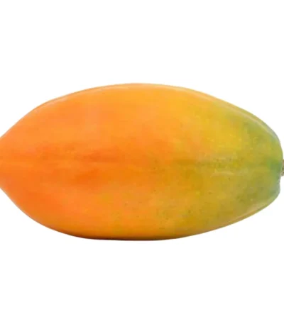 Papaya India Sri Lanka