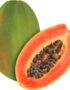 Papaya Ripe Red Thailand