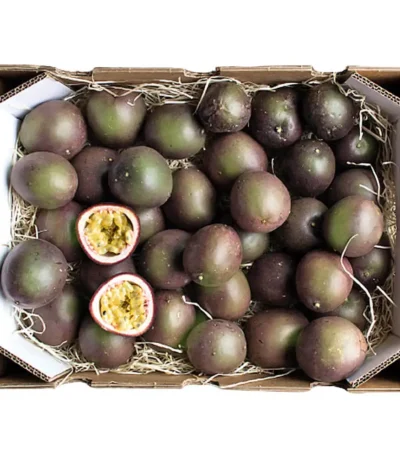 Passion Fruit Box Kenya