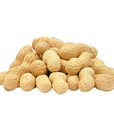 Peanuts with Shells