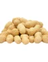 Peanuts with Shells
