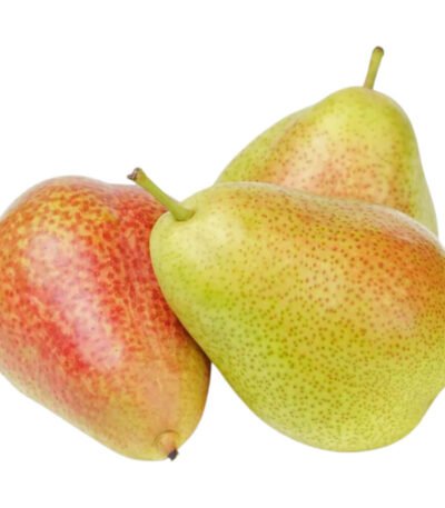 Pears Forelle