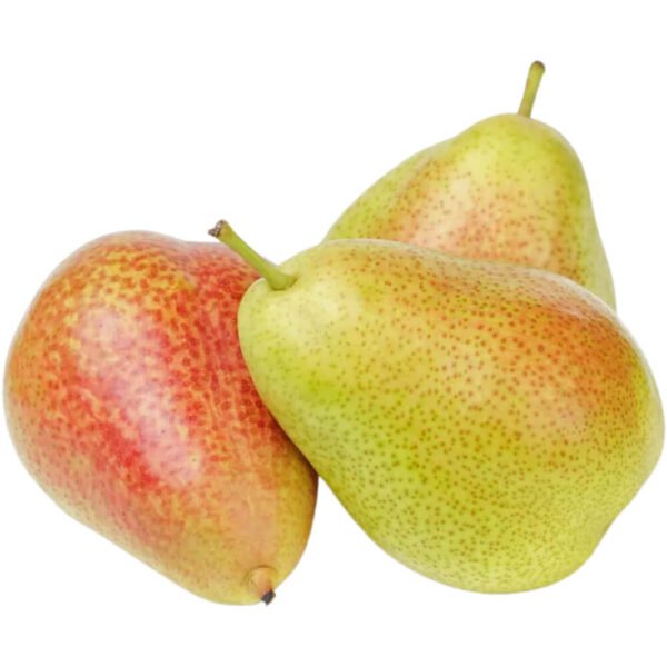 Pears Forelle