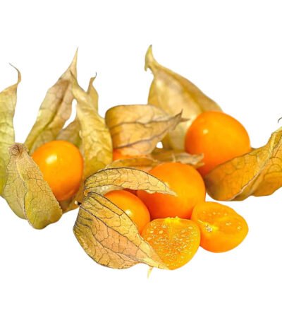 Physalis Gooseberries