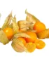 Physalis Gooseberries