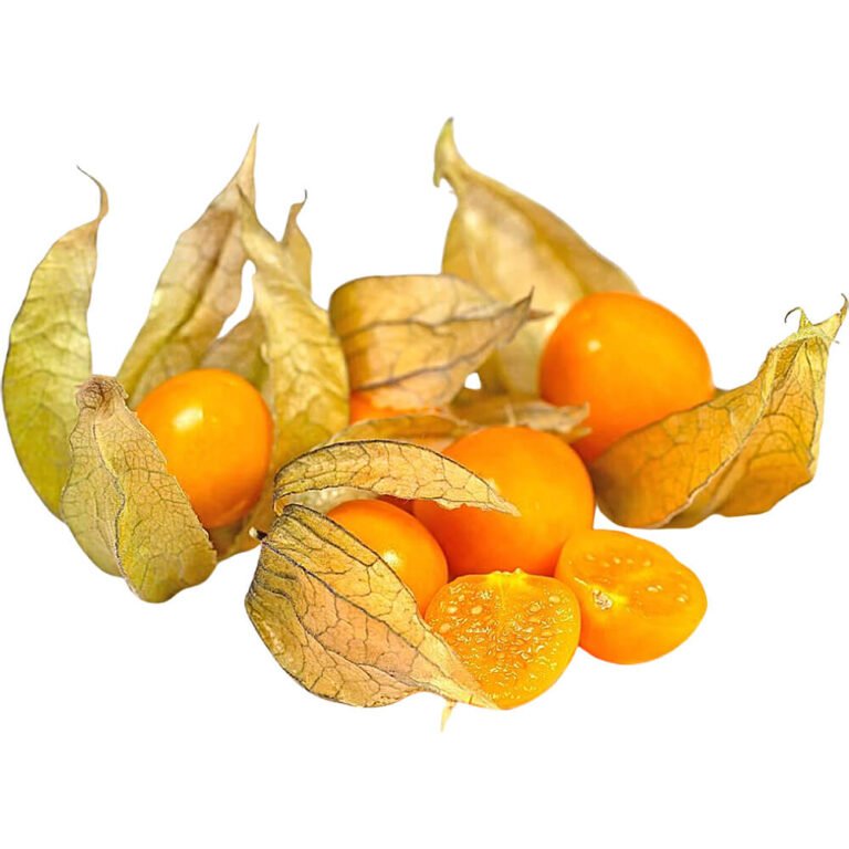 Physalis Gooseberries