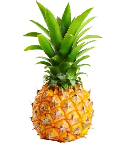 Pineapple Baby