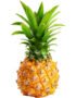 Pineapple Baby