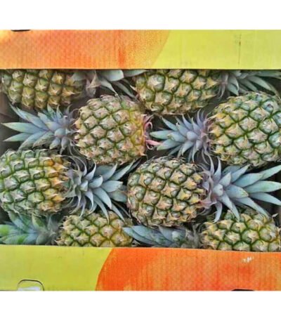 Pineapple Baby Box
