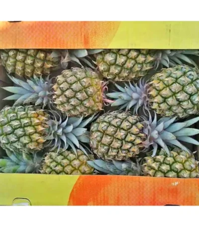 Pineapple Baby Box