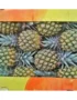 Pineapple Baby Box