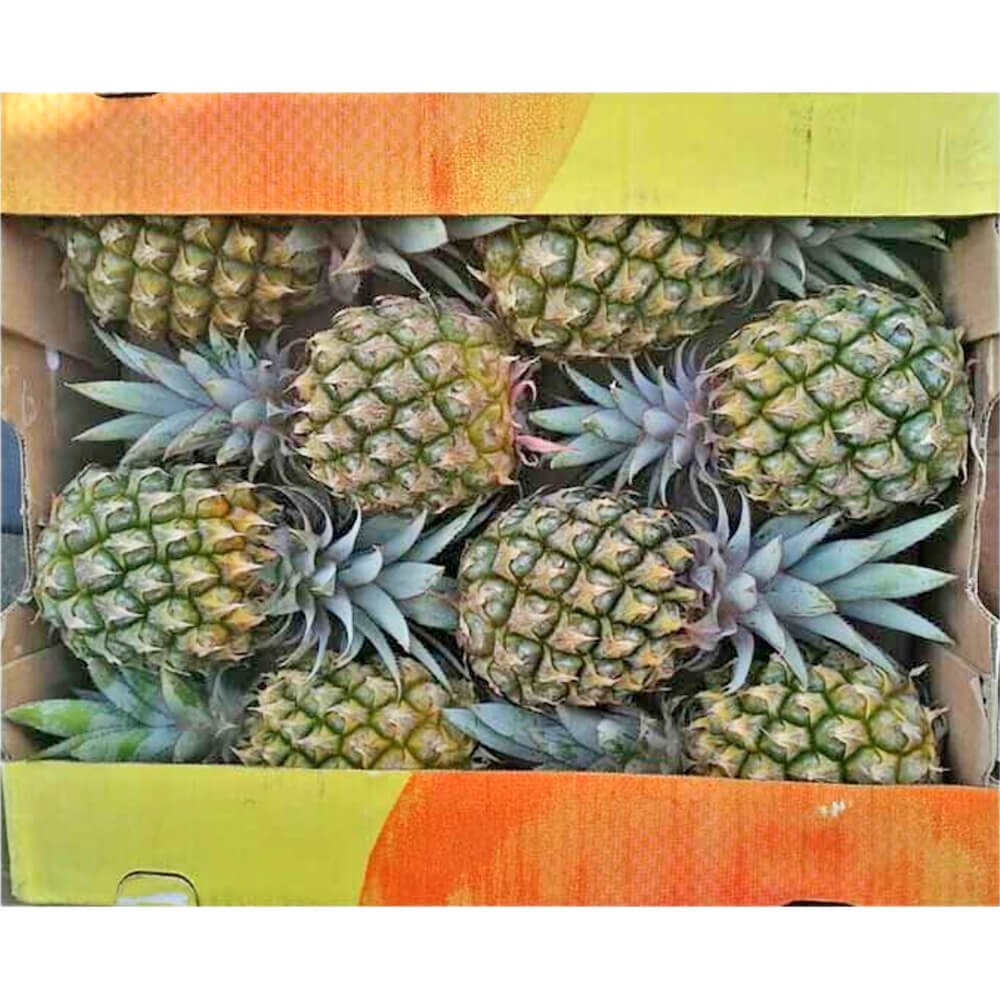 Pineapple Baby Box