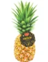 Pineapple Honey Glow
