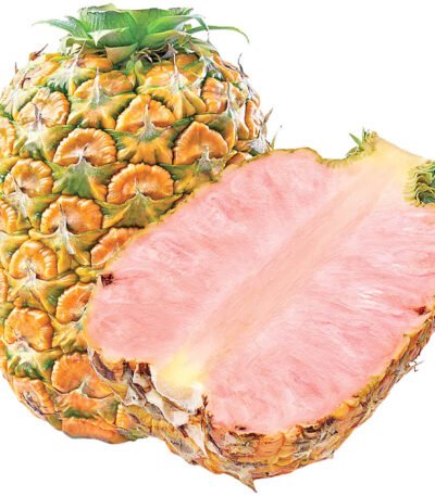 Pineapple Pink Costa Rica