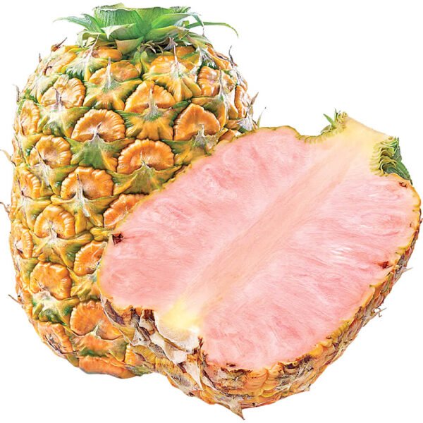 Pineapple Pink Costa Rica