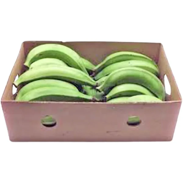 Plantain Banana Raw Box India