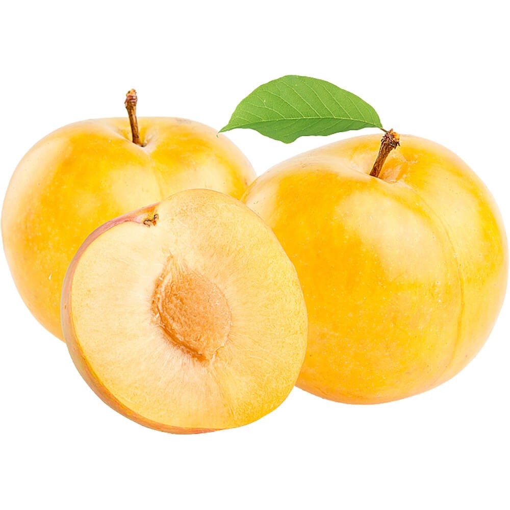 Plums Yellow