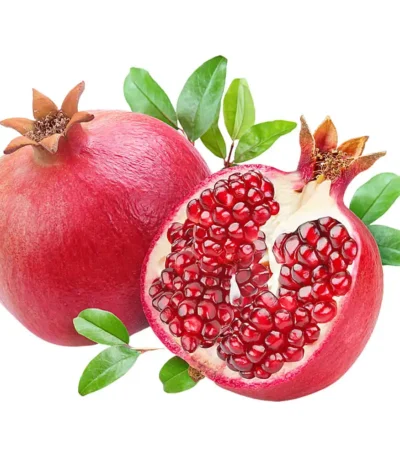 Pomegranate Red Sanitized