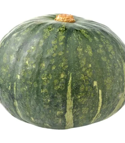 Pumpkin Green