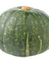 Pumpkin Green