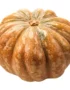 Pumpkins