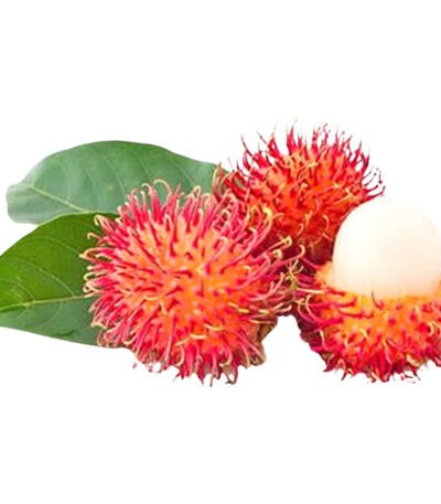 Rambutan