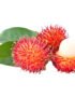 Rambutan